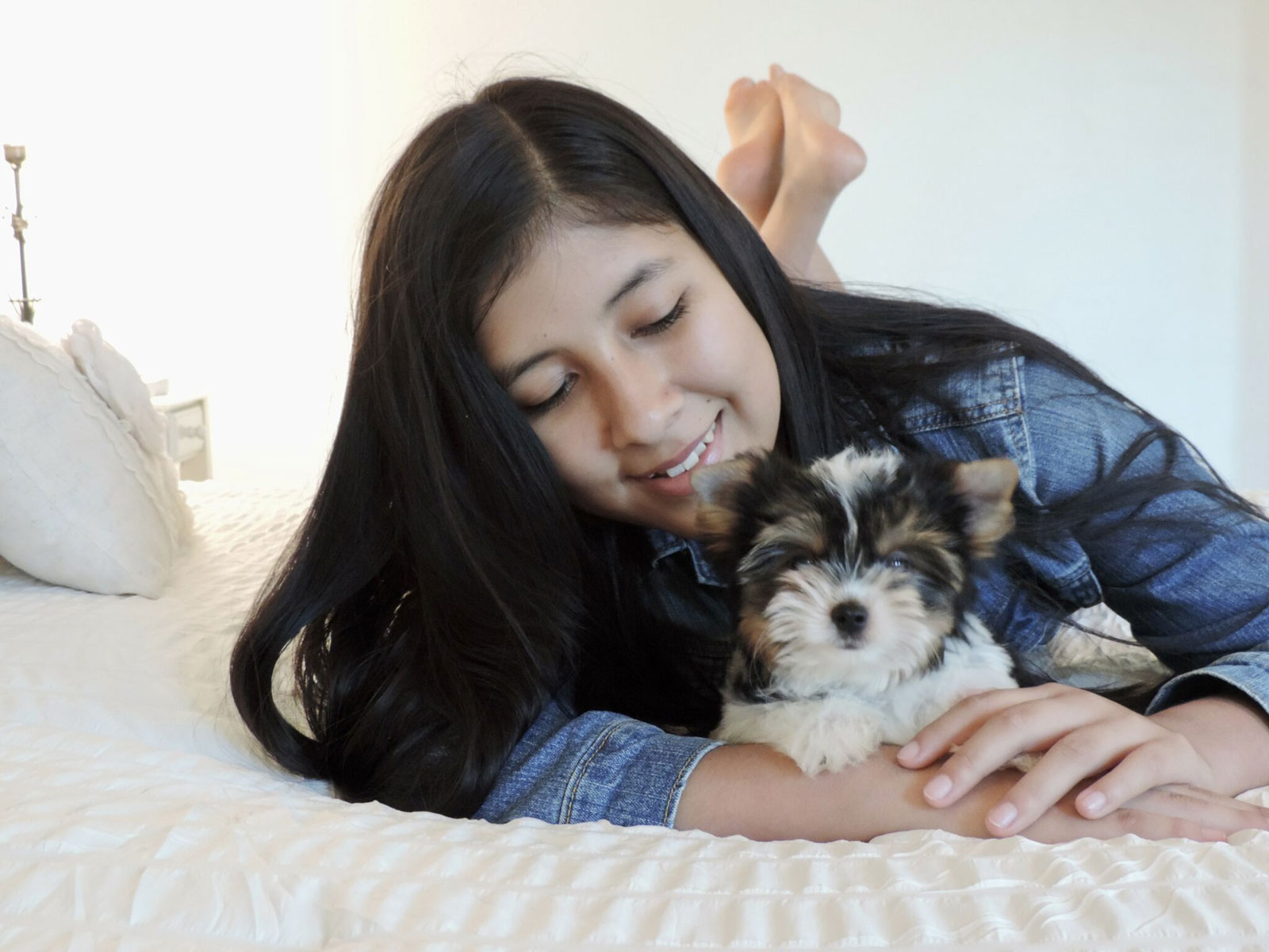 A young woman spending time with a Biewer Yorkie puppy