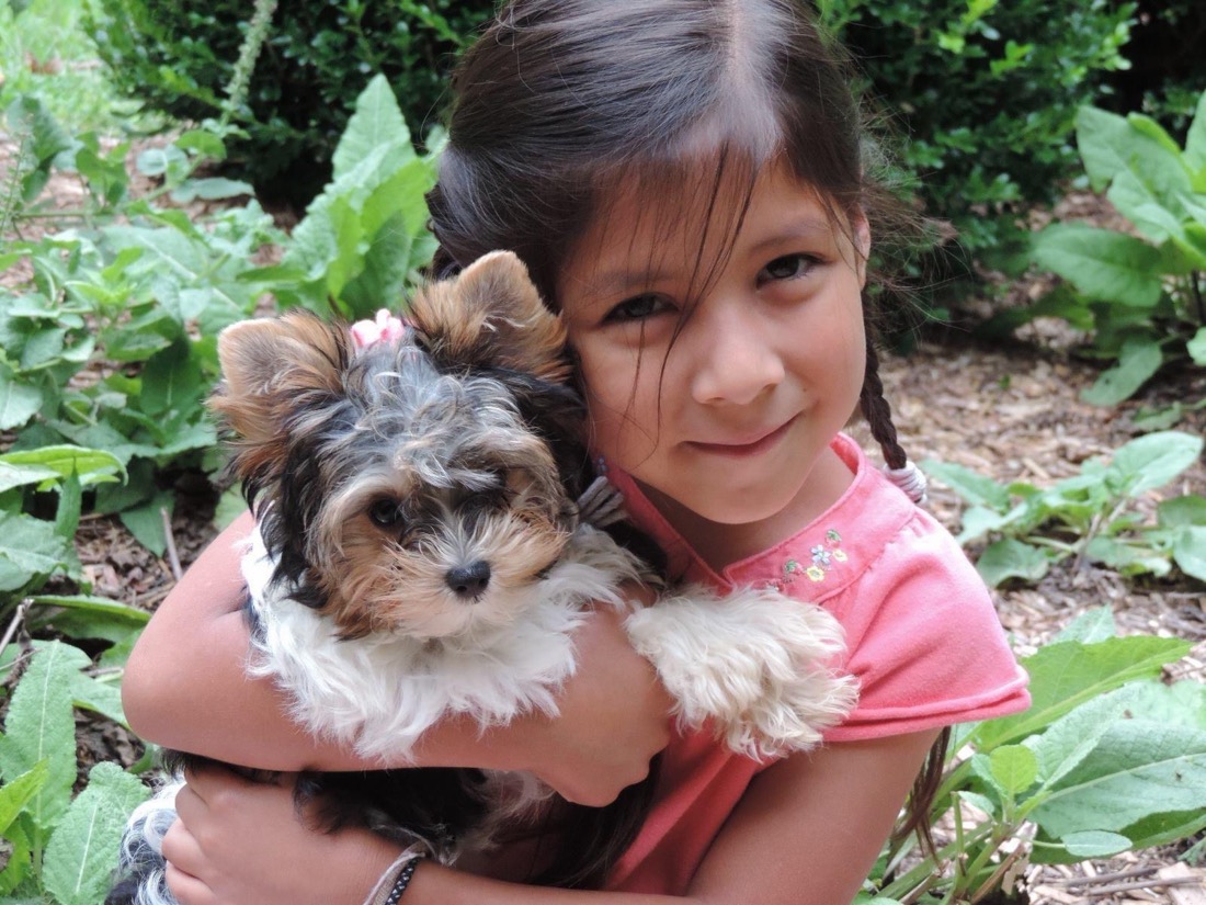 A young girl cuddling her new Contented Puppy