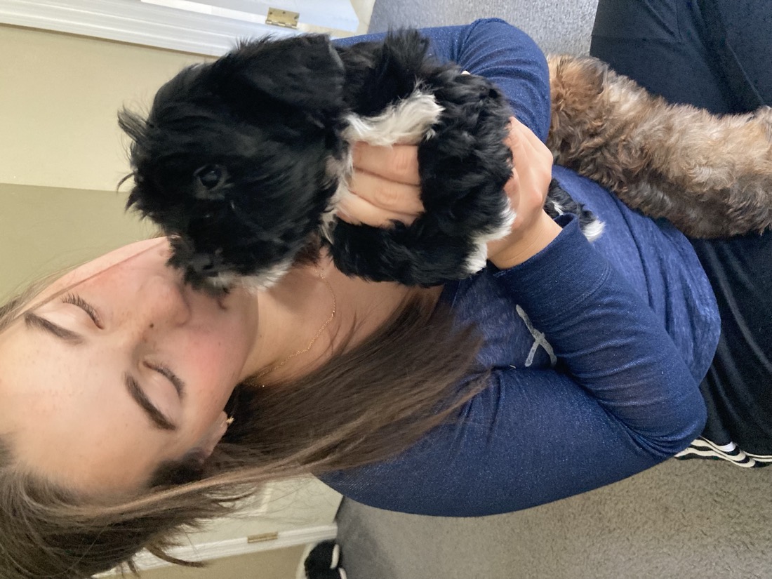 A family member holding a puppy close