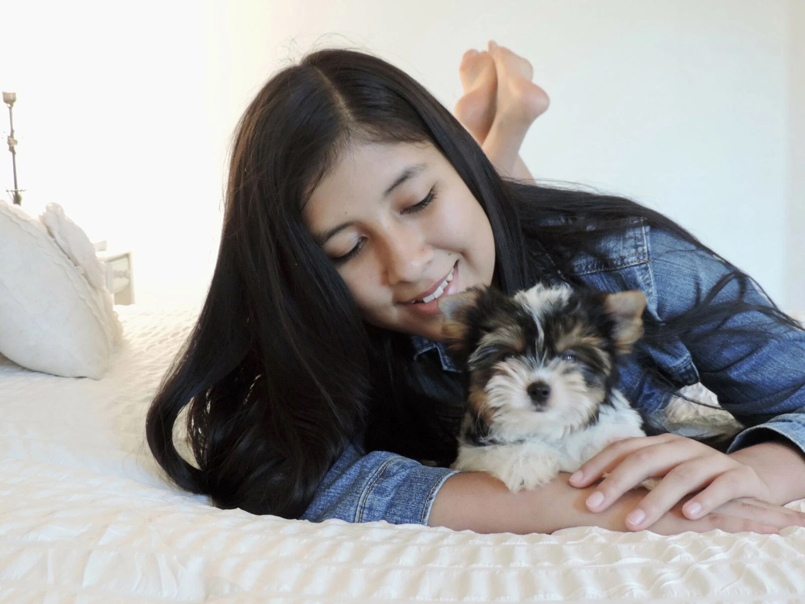 A young owner cuddling a Biewer Terrier puppy at home