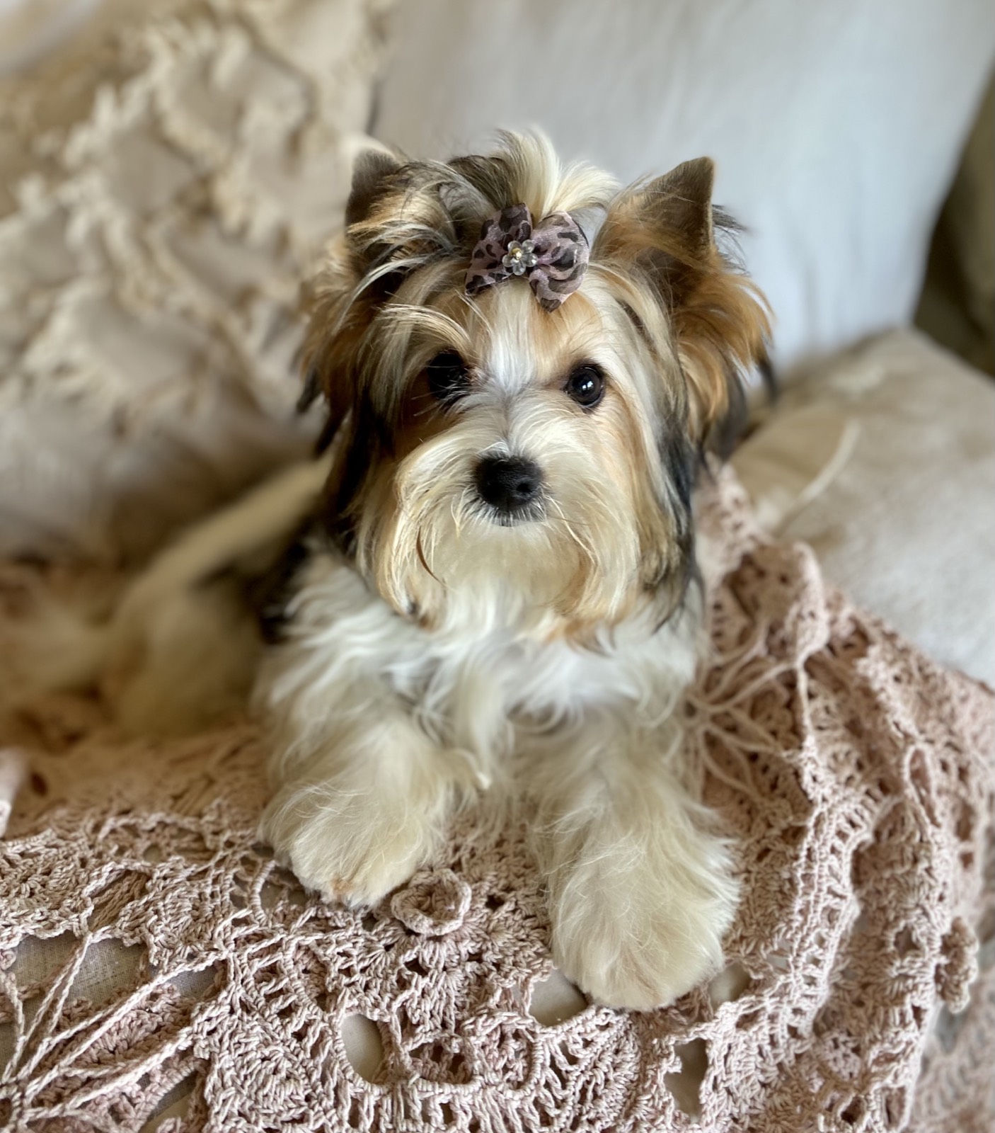 Lindie