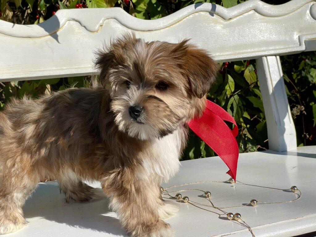 CF64A8F4 A6C1 4B97 A61A A048F71E41C0 1 201 a