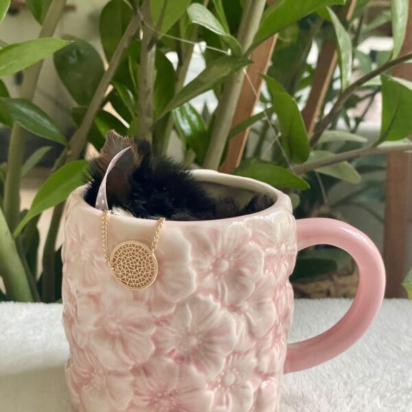 Tiny Lulu - Image 3