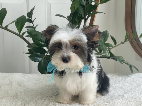 Colton - Image 10